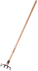 Galax Gødningshakke, 4-grenet